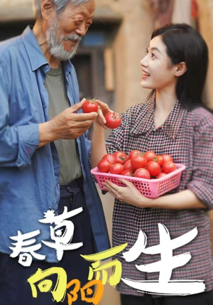 春草向阳而生(53集) 春草向阳而生(53集)全网独播免费看