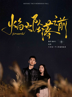 焰火坠落之前(99集) 焰火坠落之前(99集)全部免费看全集
