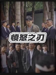 愤怒之刃(35集) 愤怒之刃(35集)真的太好看了