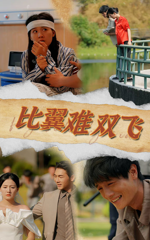 比翼难双飞(30集) 比翼难双飞(30集)精彩短剧后续
