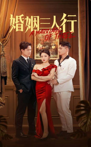婚姻三人行(31集) 婚姻三人行(31集)热播短剧全集看