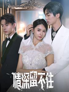 情深留不住(80集) 情深留不住(80集)第三季