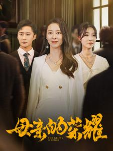 母亲的荣耀(80集) 母亲的荣耀(80集)最火的短剧