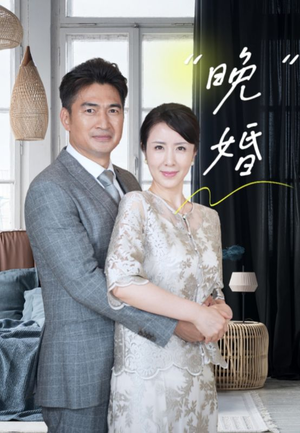 晚婚(65集) 晚婚(65集)口碑爆棚免费看