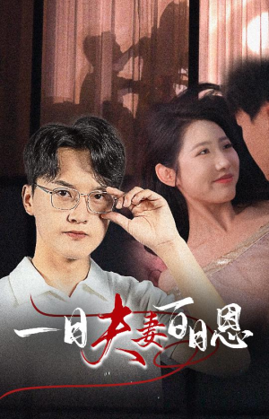 一日夫妻百日恩（30集）热门短剧推荐