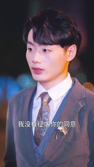 被闪婚老公套路(40集) 被闪婚老公套路(40集)最热短剧推荐