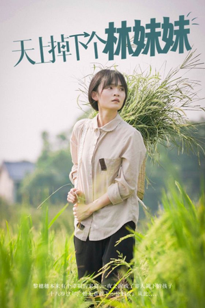 天上掉下个林妹妹（81集）短剧太好看了