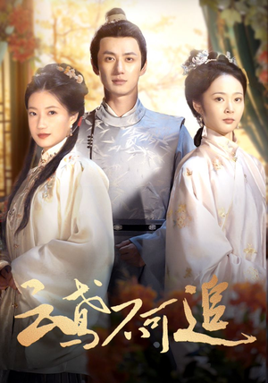 云鸢不可追(42集) 云鸢不可追(42集)女主谁演的