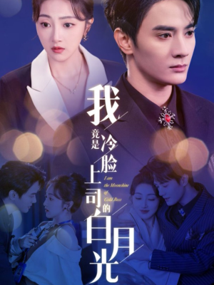 我竟是冷脸上司的白月光(80集) 我竟是冷脸上司的白月光(80集)短剧解说热门