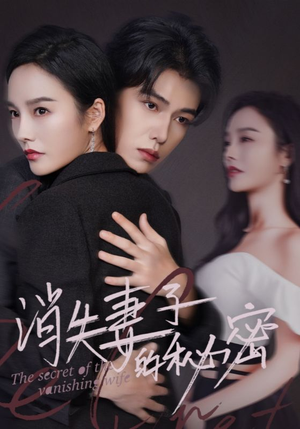 消失妻子的秘密(60) 消失妻子的秘密(60)全集免费
