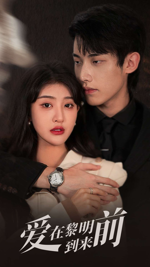 爱在黎明到来前(36集) 爱在黎明到来前(36集)短剧在线看