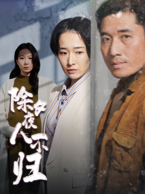 除夕夜人不归(47集) 除夕夜人不归(47集)大结局一气呵成