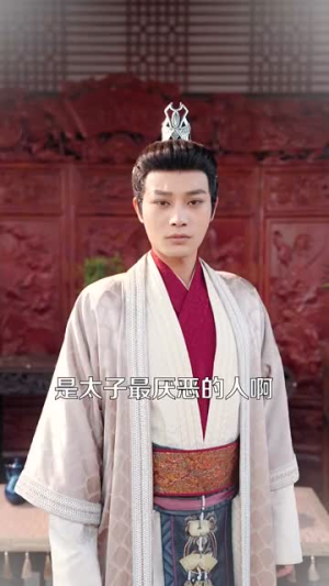 嫁东宫(100集) 嫁东宫(100集)火爆短剧来袭