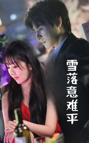雪落意难平(35集) 雪落意难平(35集)一共多少集