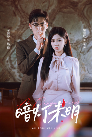 暗灯未明(72集) 暗灯未明(72集)大结局一气呵成