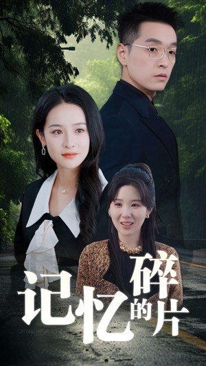 记忆的碎片(50集) 记忆的碎片(50集)热播古装短剧