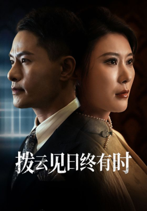 拨云见日终有时(30集) 拨云见日终有时(30集)短剧完整版免费