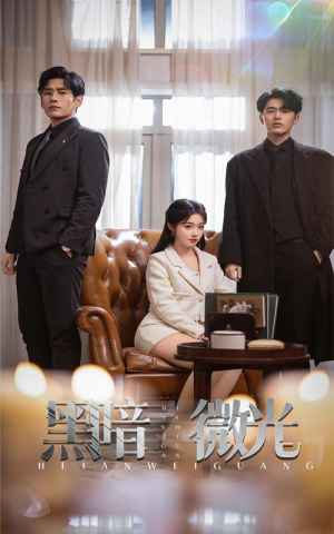 黑暗微光(66集) 黑暗微光(66集)热播短剧分享