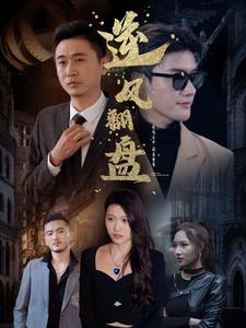 新:逆风翻盘(94集) 新:逆风翻盘(94集)热门短剧抢先