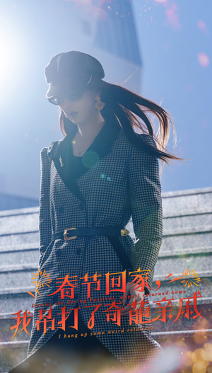 春节回家,我吊打了奇葩亲戚(30集) 春节回家,我吊打了奇葩亲戚(30集)1-102集