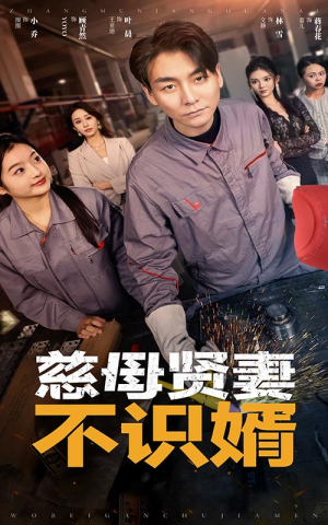 慈母贤妻不识婿（45集）超好看短剧推荐