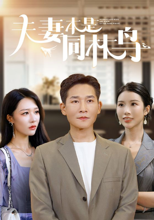 夫妻本是同林鸟(76集) 夫妻本是同林鸟(76集)新短剧推荐