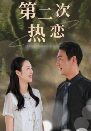 第二次热恋(48集) 第二次热恋(48集)独家资源免费看