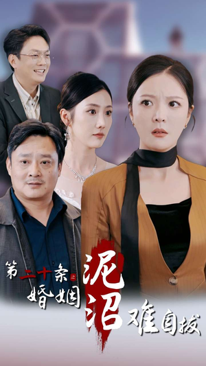 第二十条之婚姻沼泽难自拔（31集）在线免费观看
