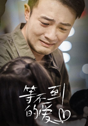 等不到的爱(40集) 等不到的爱(40集)好看又上头短剧