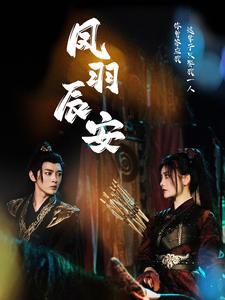 凤羽辰安（100集）短剧全集抢先看