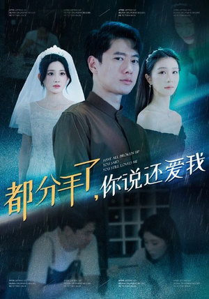 都分手了你说还爱我(33集) 都分手了你说还爱我(33集)免费看