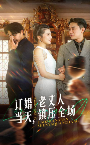 订婚当天,老丈人镇压全场(29集) 订婚当天,老丈人镇压全场(29集)短剧有好货推荐