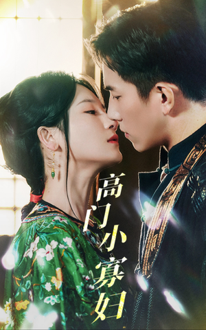 高门小寡妇(60集) 高门小寡妇(60集)哪个短剧网能看