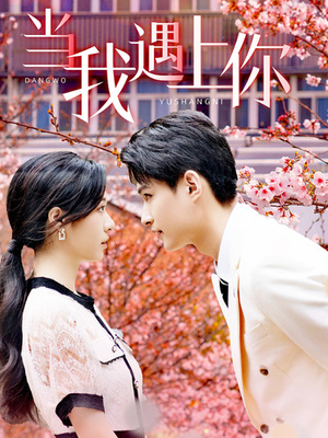 当我遇上你(100集) 当我遇上你(100集)精彩短剧热播中