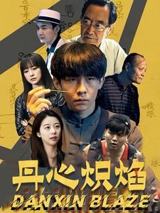 丹心炽焰(70集) 丹心炽焰(70集)演的怎么样