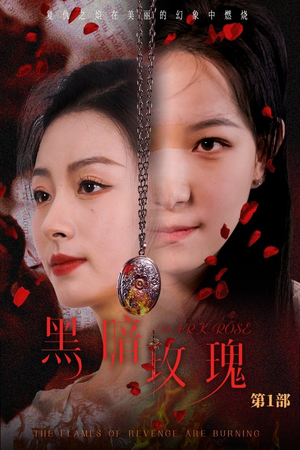 黑暗玫瑰(84集) 黑暗玫瑰(84集)直接追到结尾