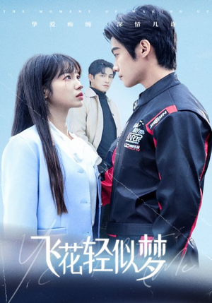 飞花轻似梦(37集) 飞花轻似梦(37集)火爆热门短剧