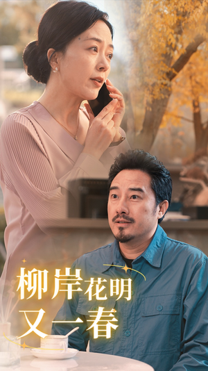 柳暗花明又一春(40集) 柳暗花明又一春(40集)全网独播免费看