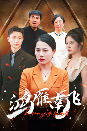 鸿雁南飞（64集）短剧追到爽