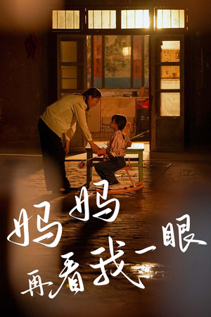 妈妈再看我一眼(32集) 妈妈再看我一眼(32集)免费短剧完整版