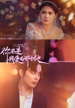 你不是我爱的那个他(54集) 你不是我爱的那个他(54集)我全都看完了