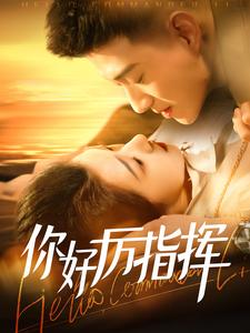 你好厉指挥(100集) 你好厉指挥(100集)热播短剧来袭