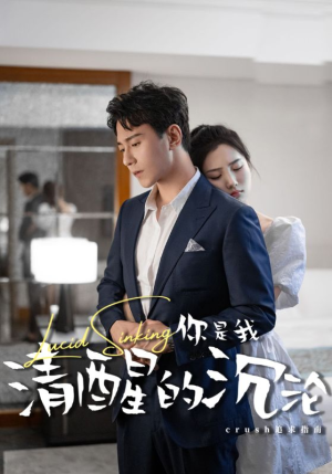 你是我清醒的沉沦(48集) 你是我清醒的沉沦(48集)完整版免费观看