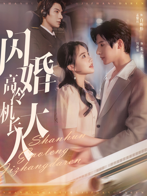 闪婚高冷机长大人(92集) 闪婚高冷机长大人(92集)超好看短剧推荐