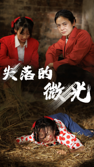 失落的微光(60集) 失落的微光(60集)每日分享短剧