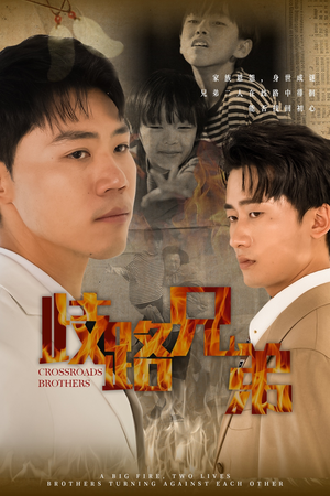 歧路兄弟(63集) 歧路兄弟(63集)大结局一气呵成