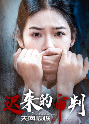 天网恢恢之迟来的审判(31集) 天网恢恢之迟来的审判(31集)短剧太精彩了