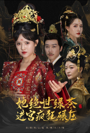 万凤之凰(63集) 万凤之凰(63集)全季一次看完