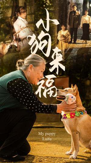 小狗来福(30集) 小狗来福(30集)网盘在线观看