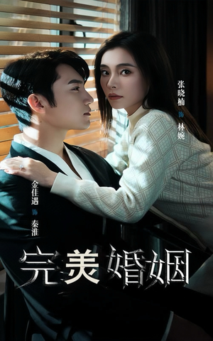 完美婚姻(65集) 完美婚姻(65集)在哪看免费